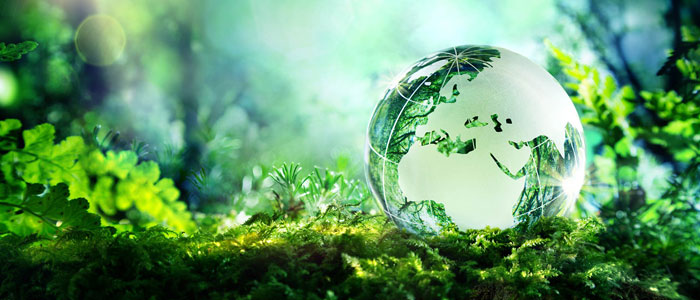 Sustainability